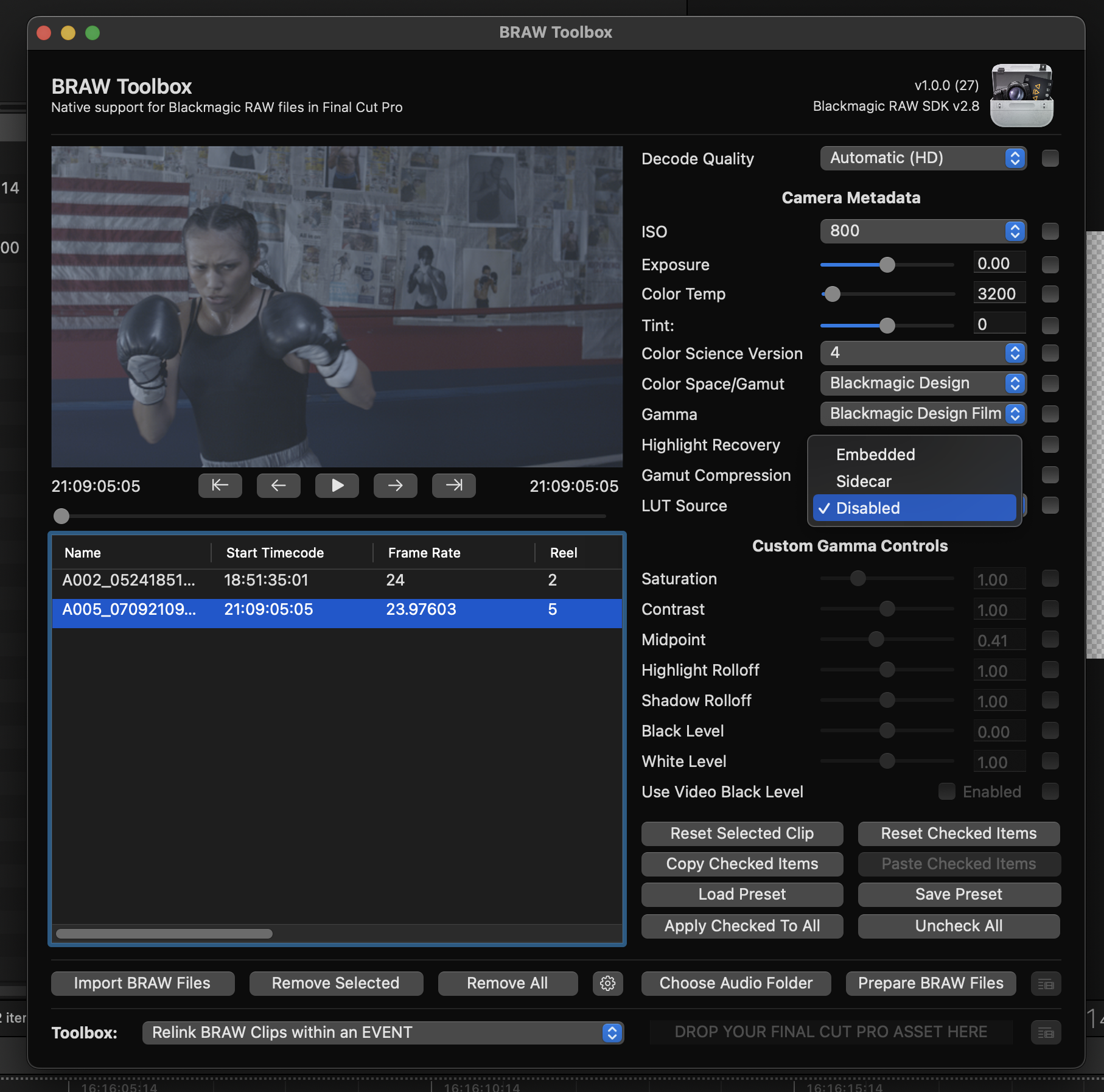 LUT Selection in the BRAW Toolbox Workflow Extension